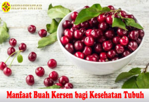 Manfaat Buah Kersen bagi Kesehatan Tubuh