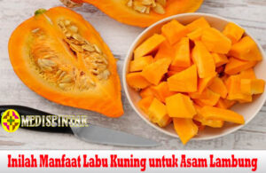 Inilah Manfaat Labu Kuning untuk Asam Lambung