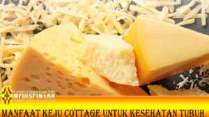 Manfaat Keju Cottage untuk Kesehatan Tubuh