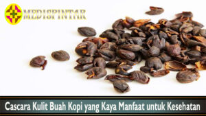 Cascara Kulit Buah Kopi yang Kaya Manfaat untuk Kesehatan
