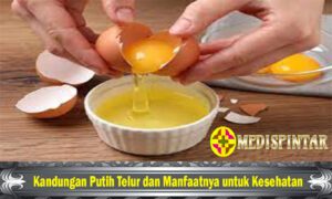 Kandungan Putih Telur dan Manfaatnya untuk Kesehatan