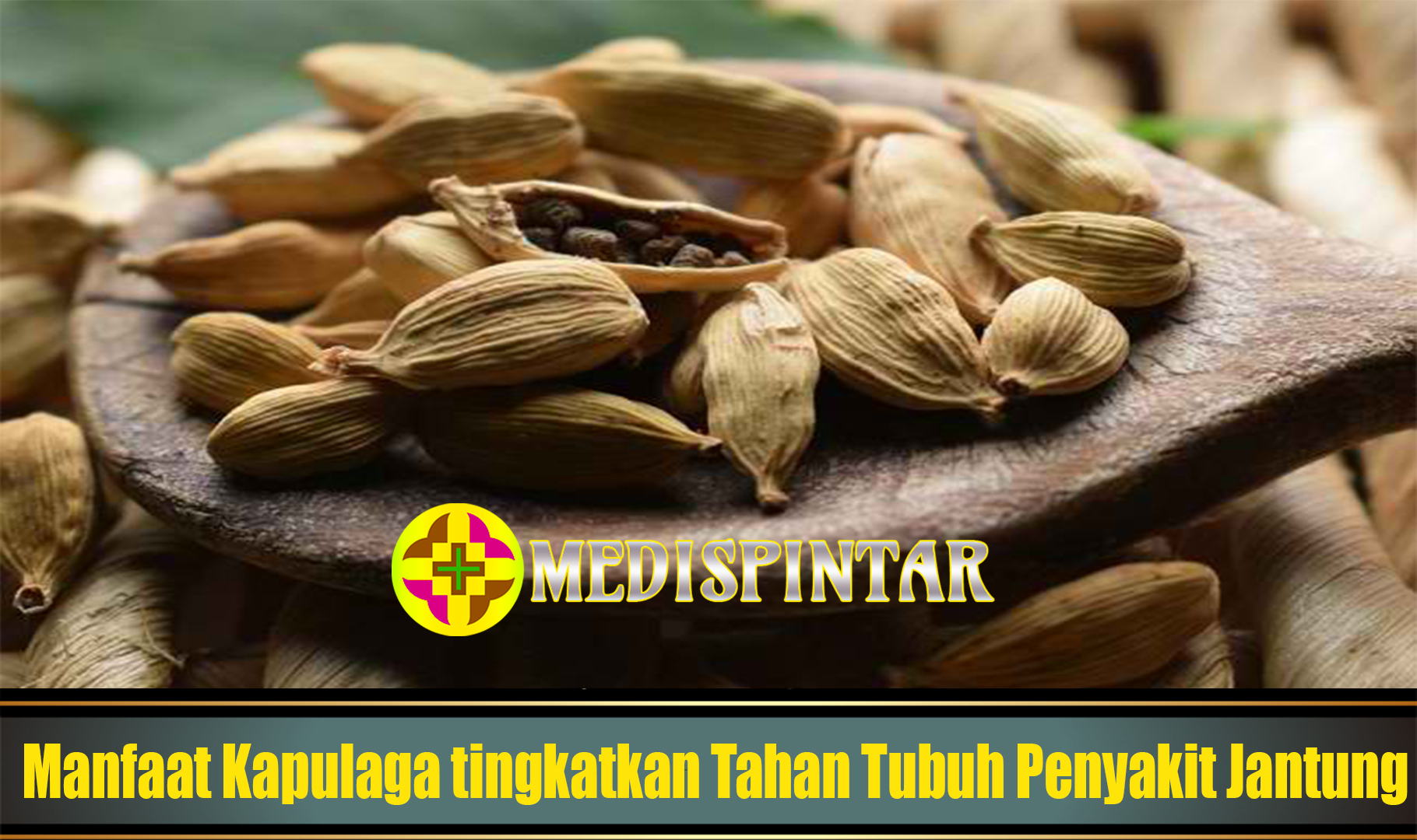 Manfaat Kapulaga tingkatkan Tahan Tubuh Penyakit Jantung