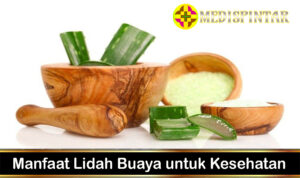 Manfaat Lidah Buaya untuk Kesehatan