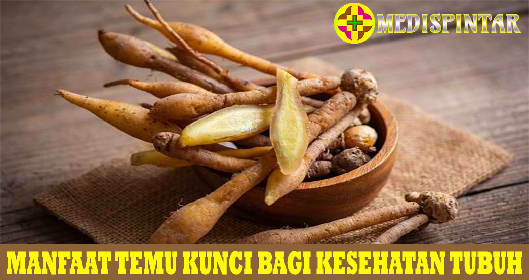 Manfaat Temu Kunci bagi Kesehatan Tubuh