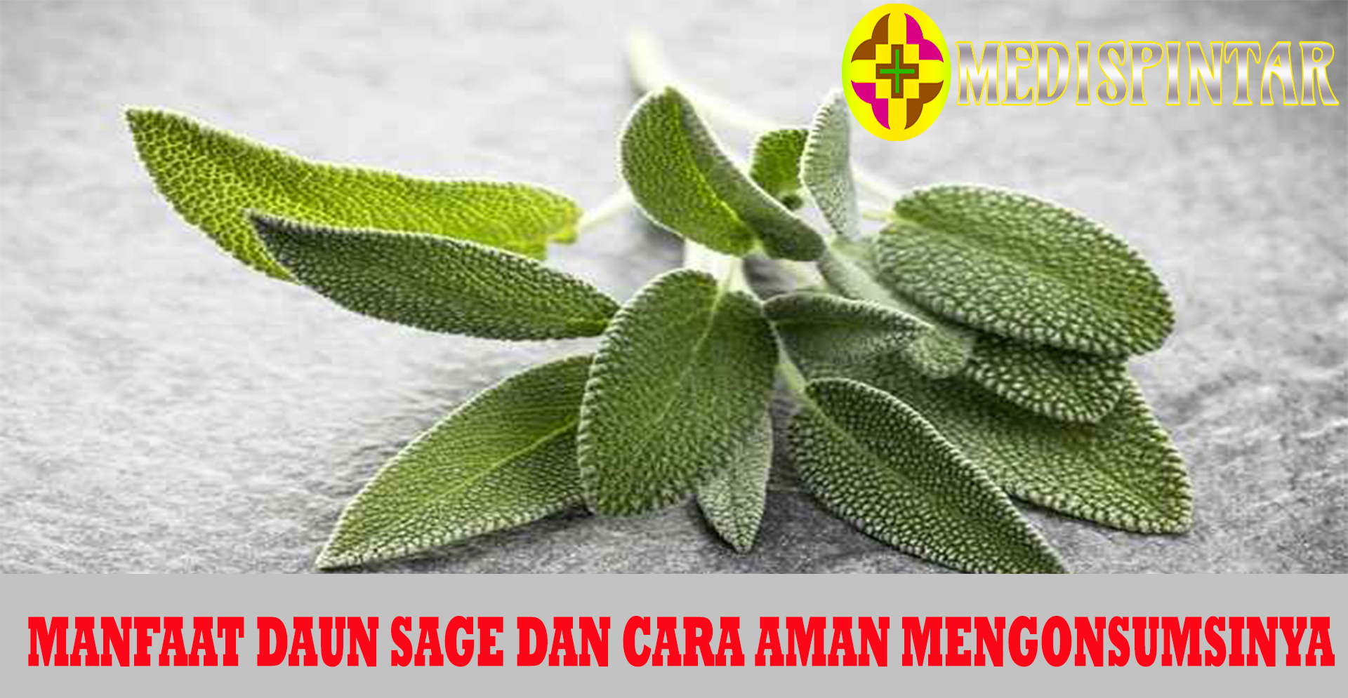 Manfaat Daun Sage dan Cara Aman Mengonsumsinya