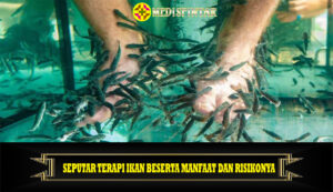 Seputar Terapi Ikan Beserta Manfaat dan Risikonya