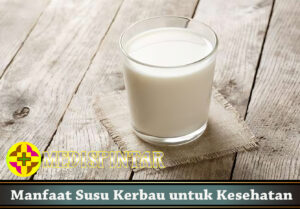 Manfaat Susu Kerbau untuk Kesehatan