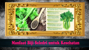 Manfaat Biji Seledri