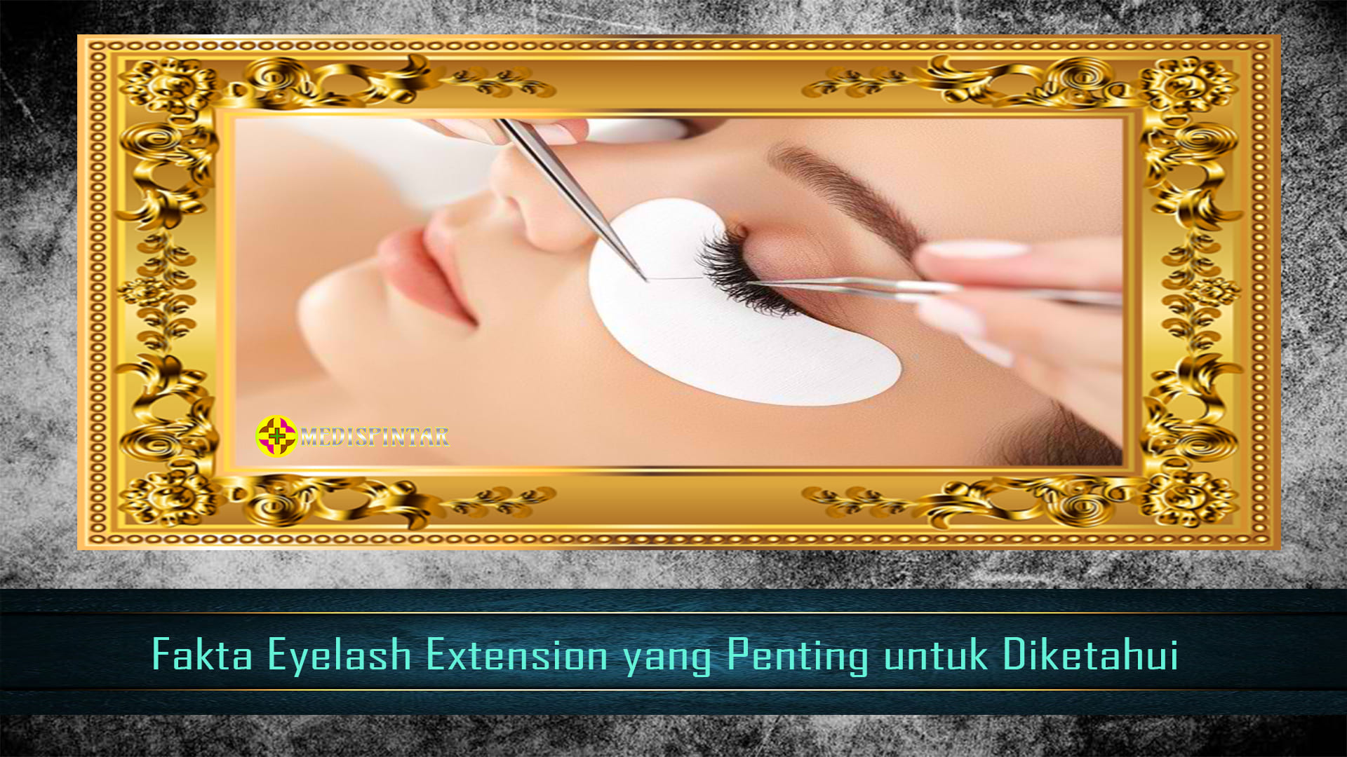 Fakta Eyelash