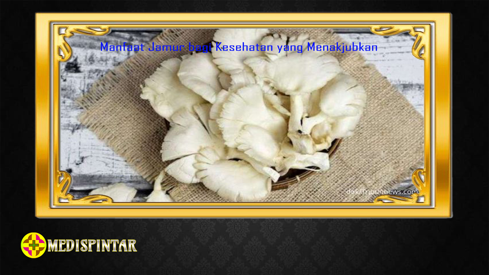 Manfaat Jamur bagi Kesehatan yang Menakjubkan
