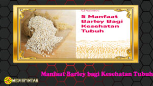 Manfaat Barley bagi Kesehatan Tubuh