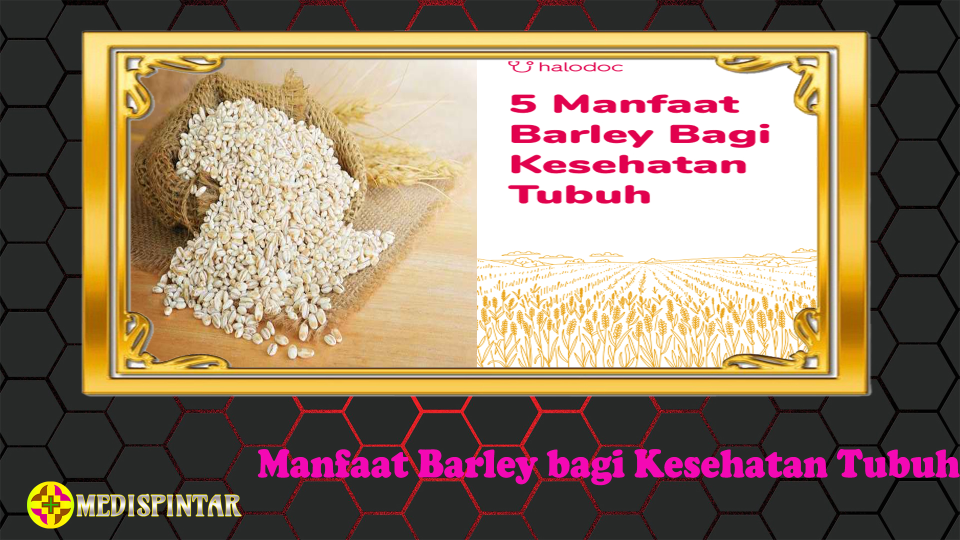 Manfaat Barley bagi Kesehatan Tubuh