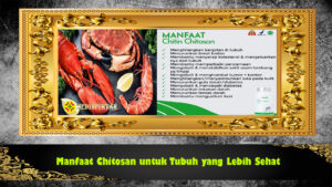 Manfaat Chitosan