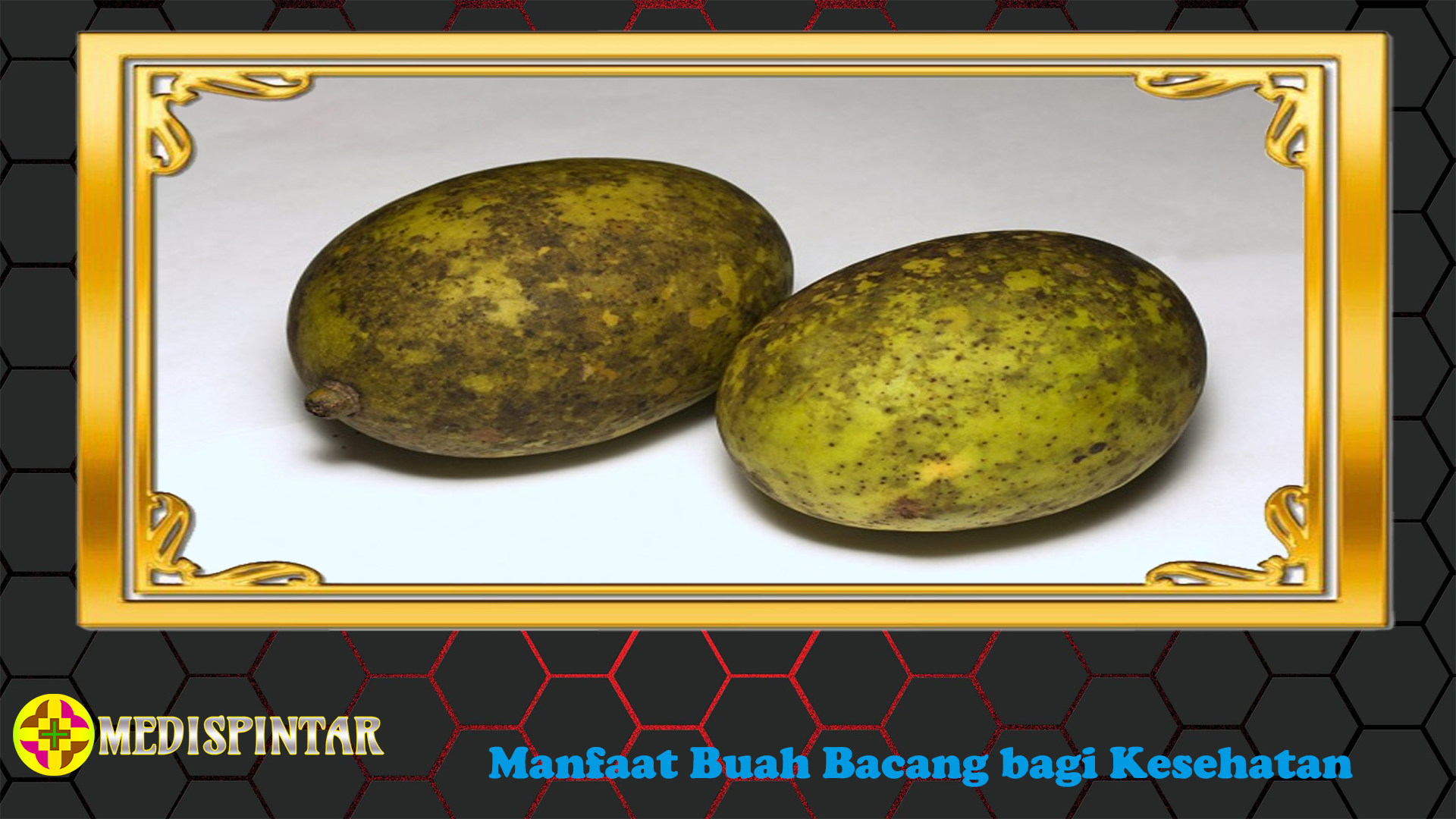 Manfaat Buah Bacang bagi Kesehatan