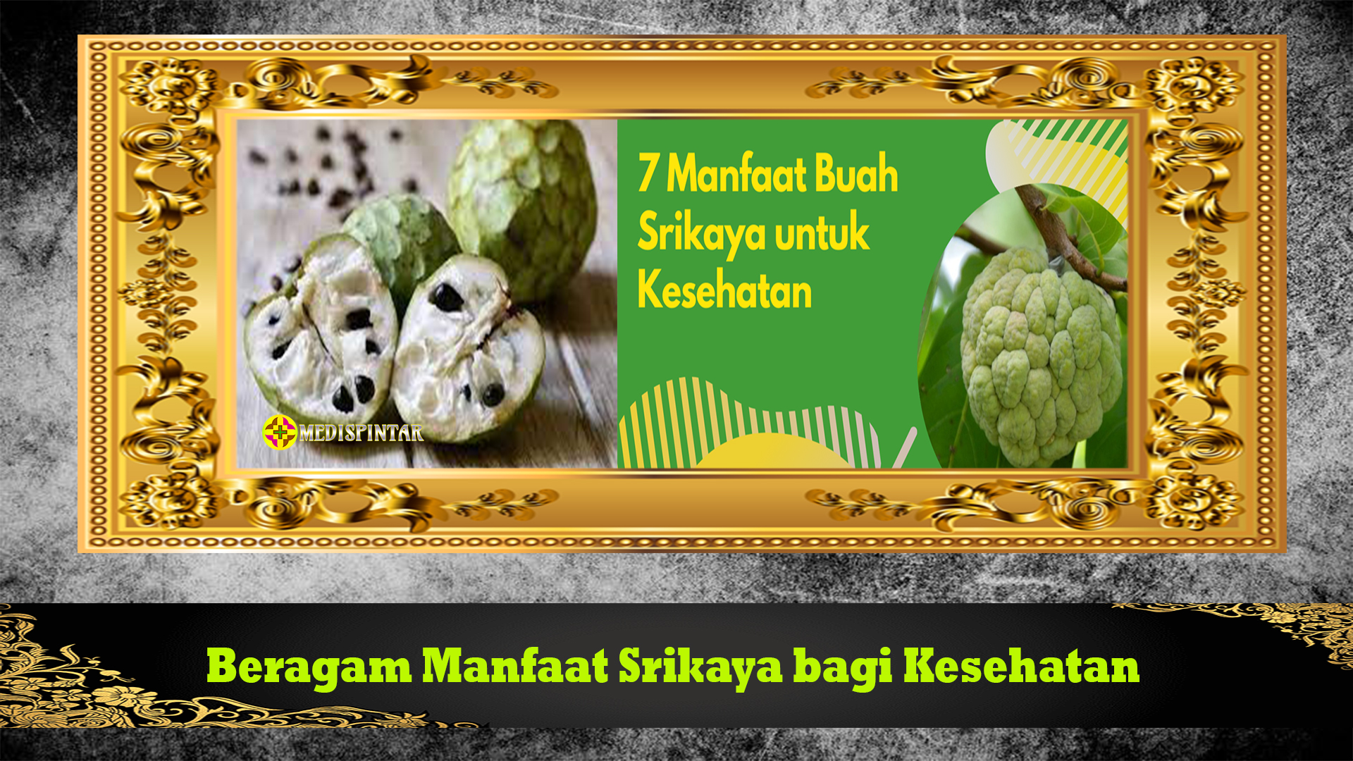 Beragam Manfaat