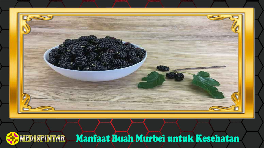 Manfaat Buah Murbei untuk Kesehatan